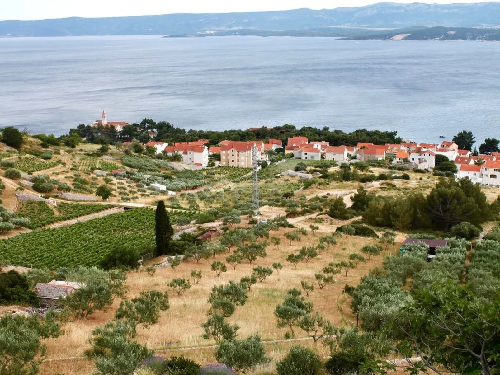 Wohnung in Bol - Image-tags.info