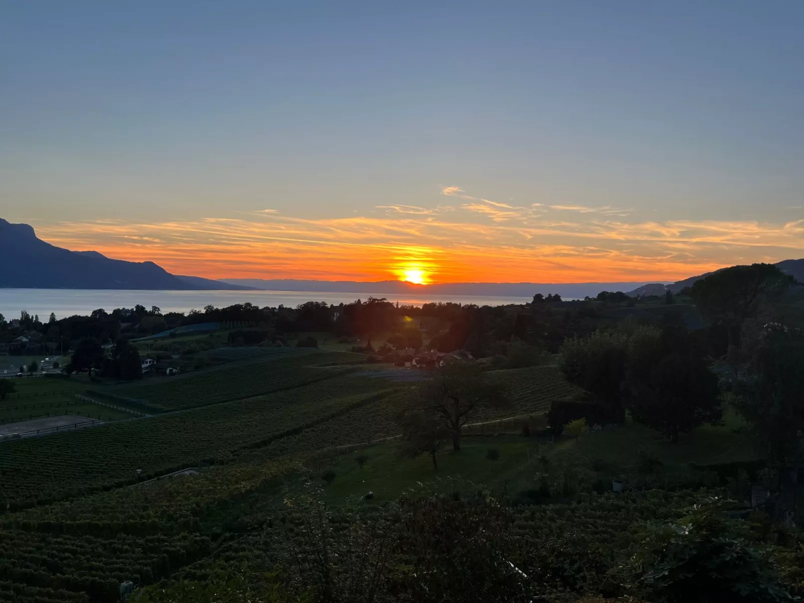Vigneronne, App. Lac-Draußen