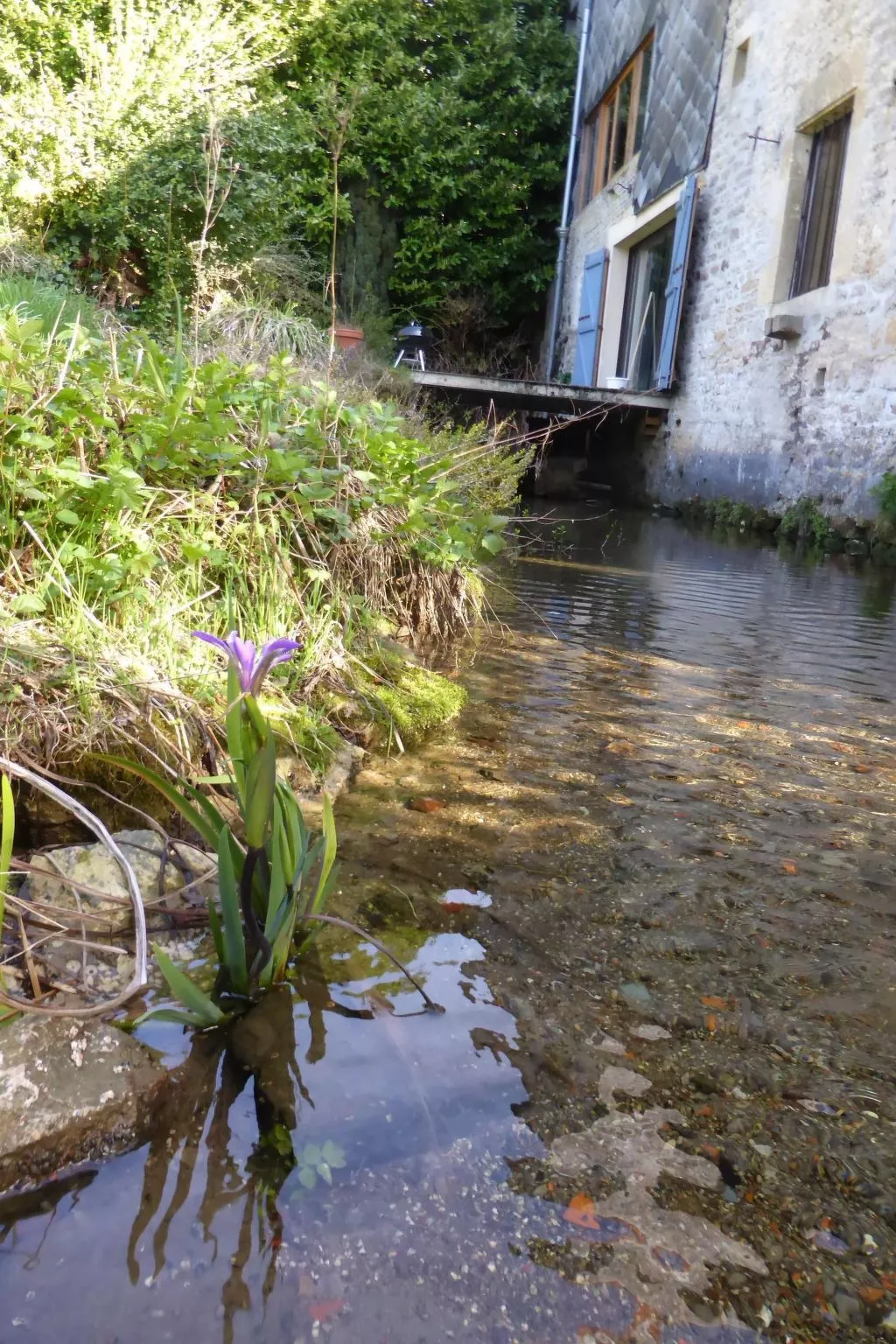 The Water Mill of Tourteron-Dehors