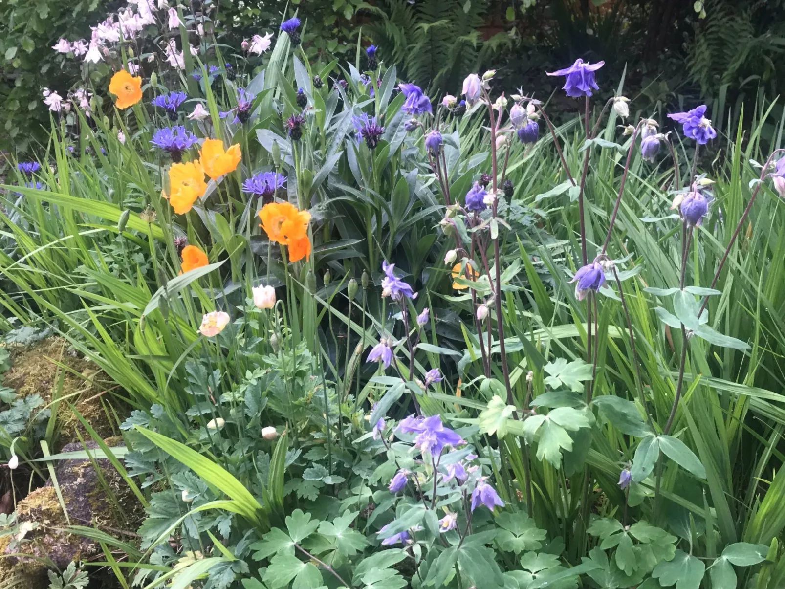 Idyllisches Landhaus mit wunderschönem Garten-Image-tags.info