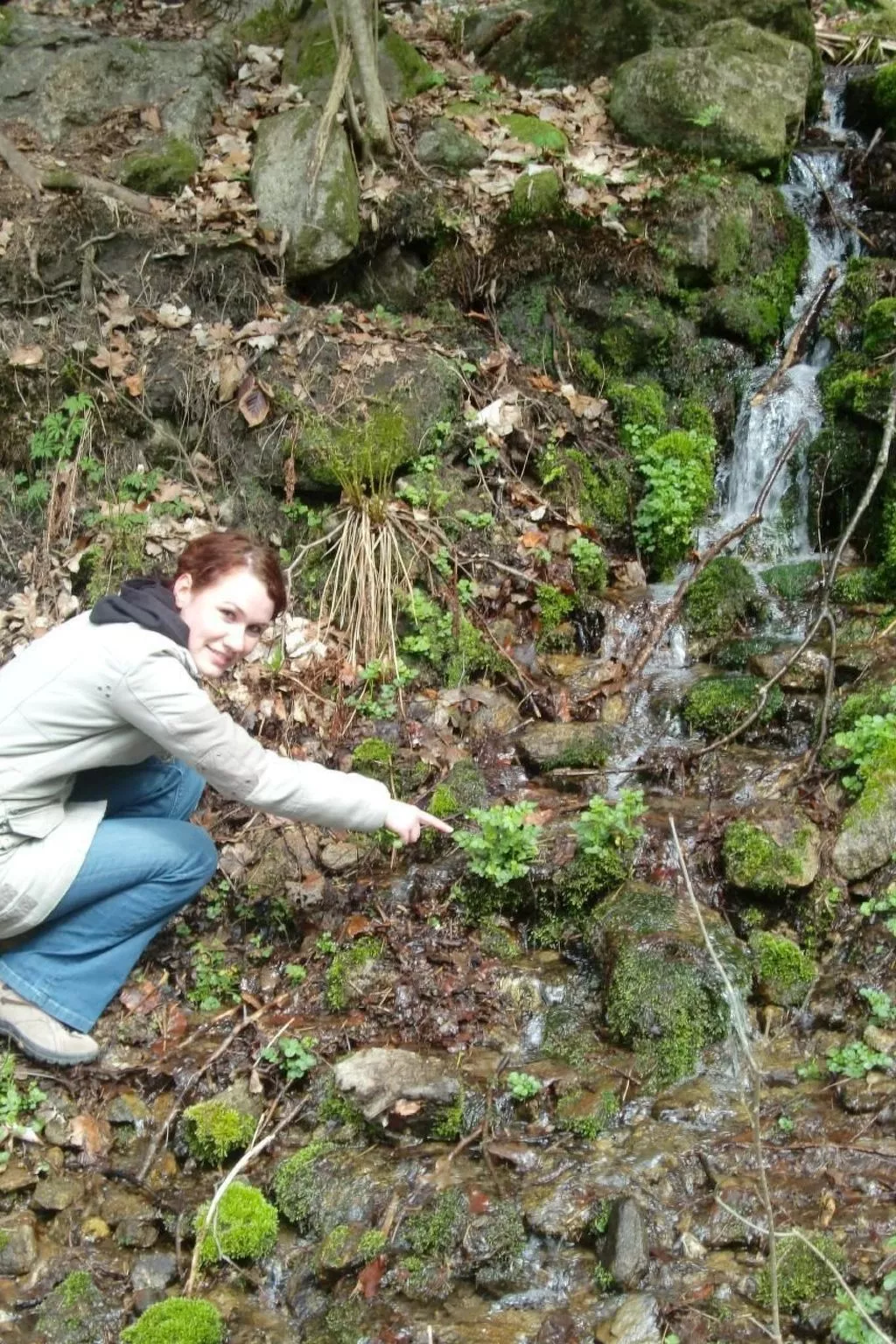 Fewo Altes Schulhaus-Dehors