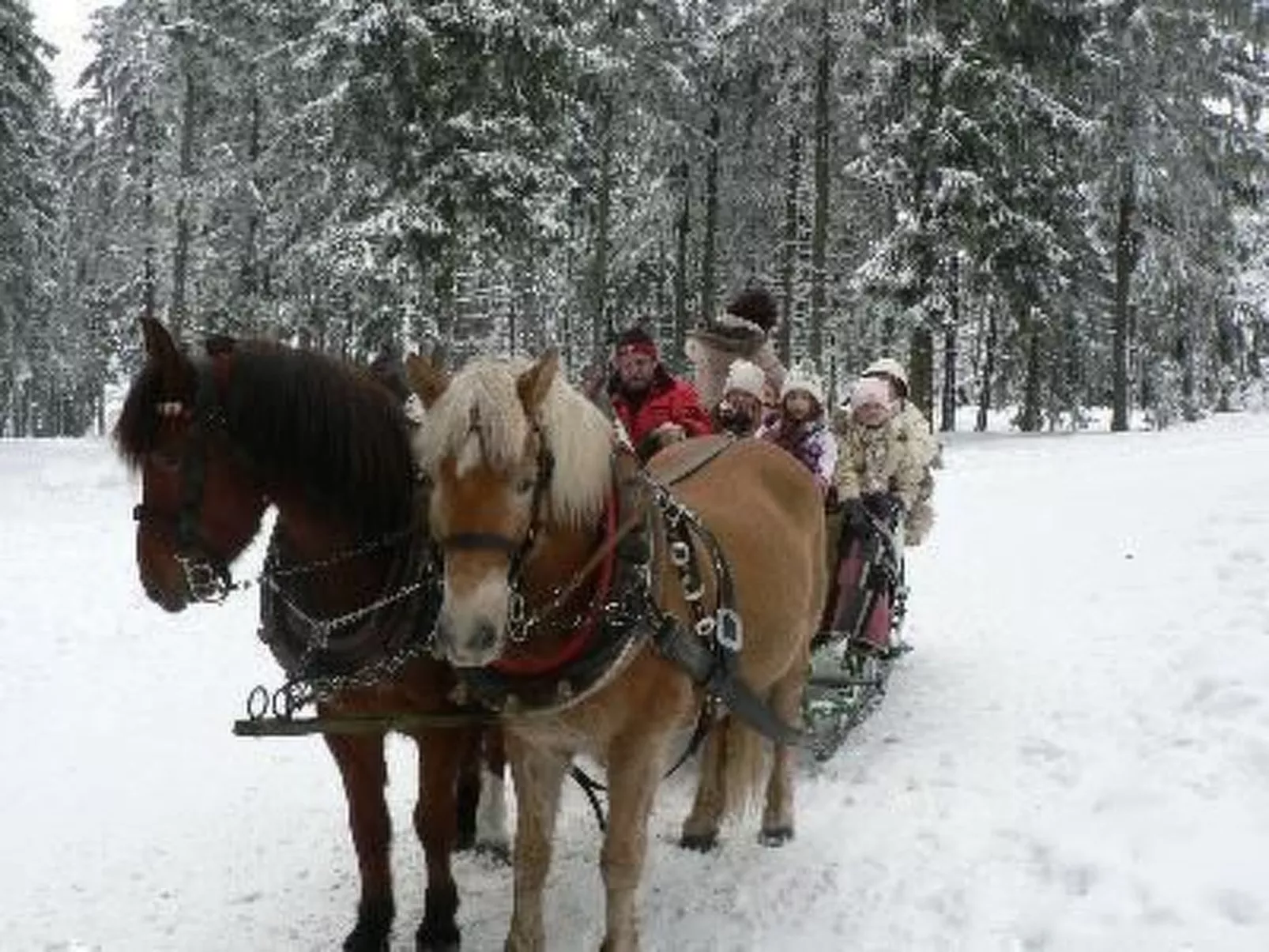 Für 9 Personen im Thüringer Wald-Outside