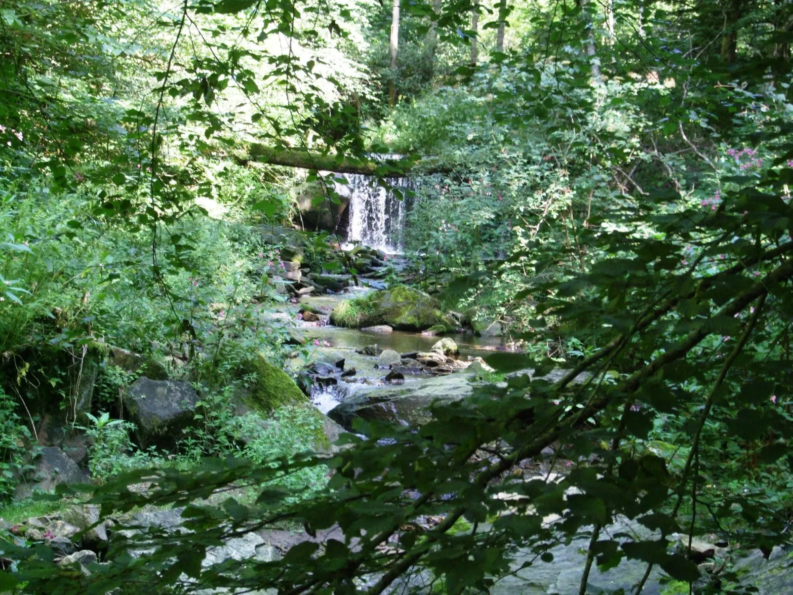 Örtl in Obernzell-Draußen
