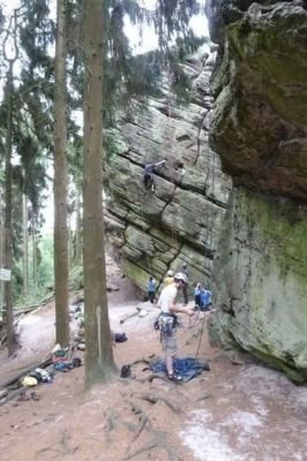 Schönes Ferienhaus in Brochterbeck mit Garten-Image-tags.info