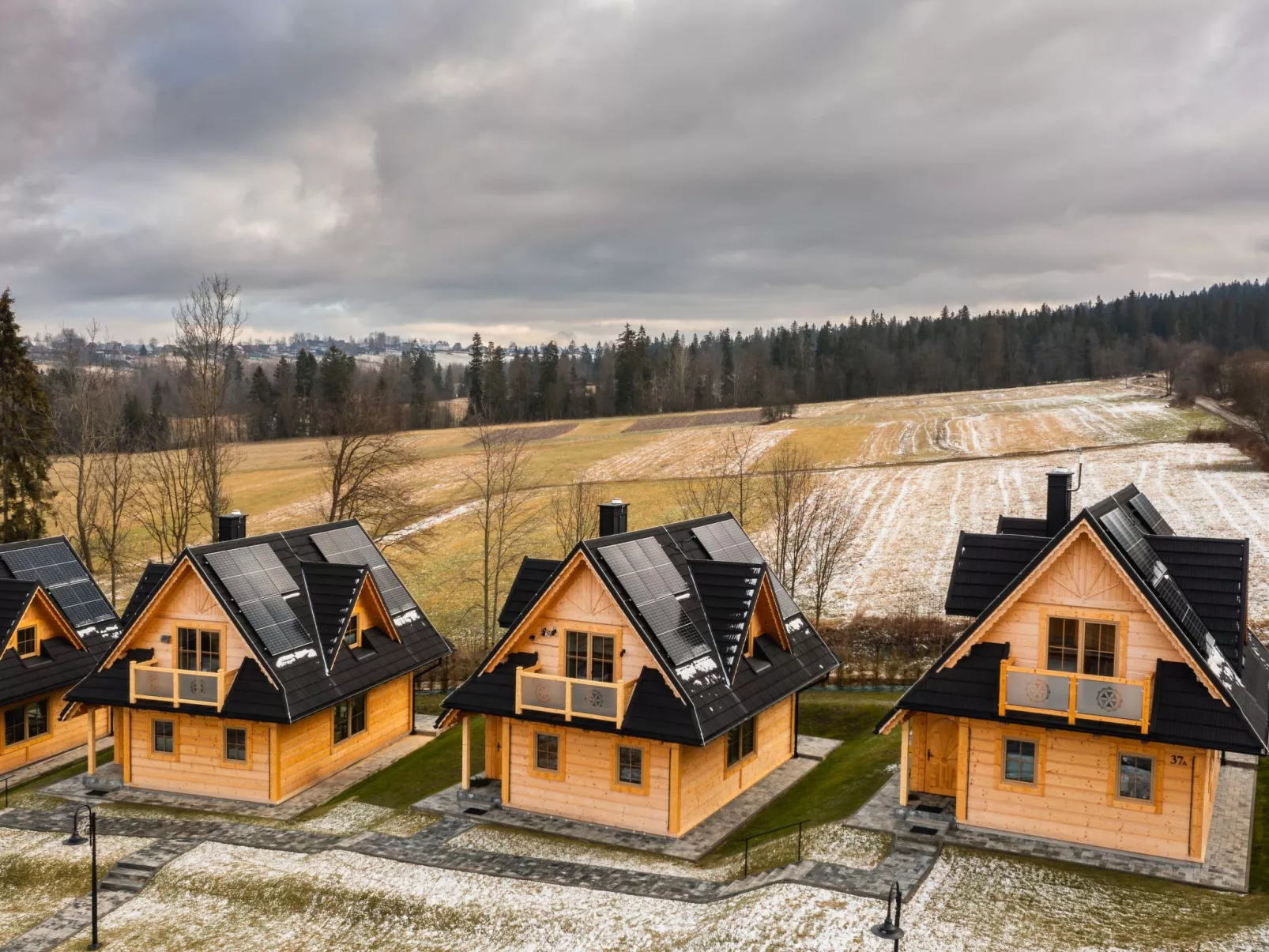Krokus Tal Dorf unter der Tatra-Draußen