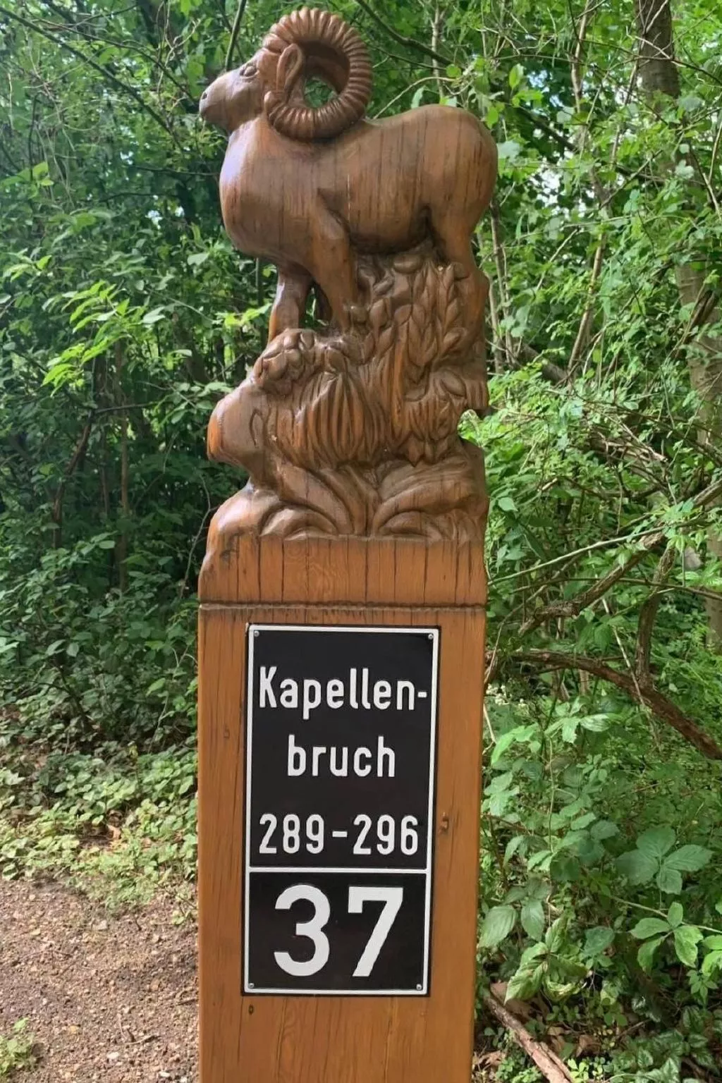 Natur-Image-tags.info