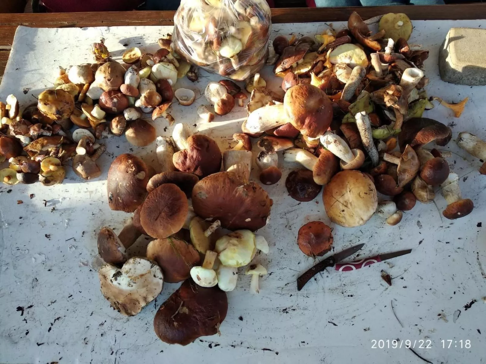 Ferienvilla "Villa Jolanta" mit Sauna-Image-tags.info