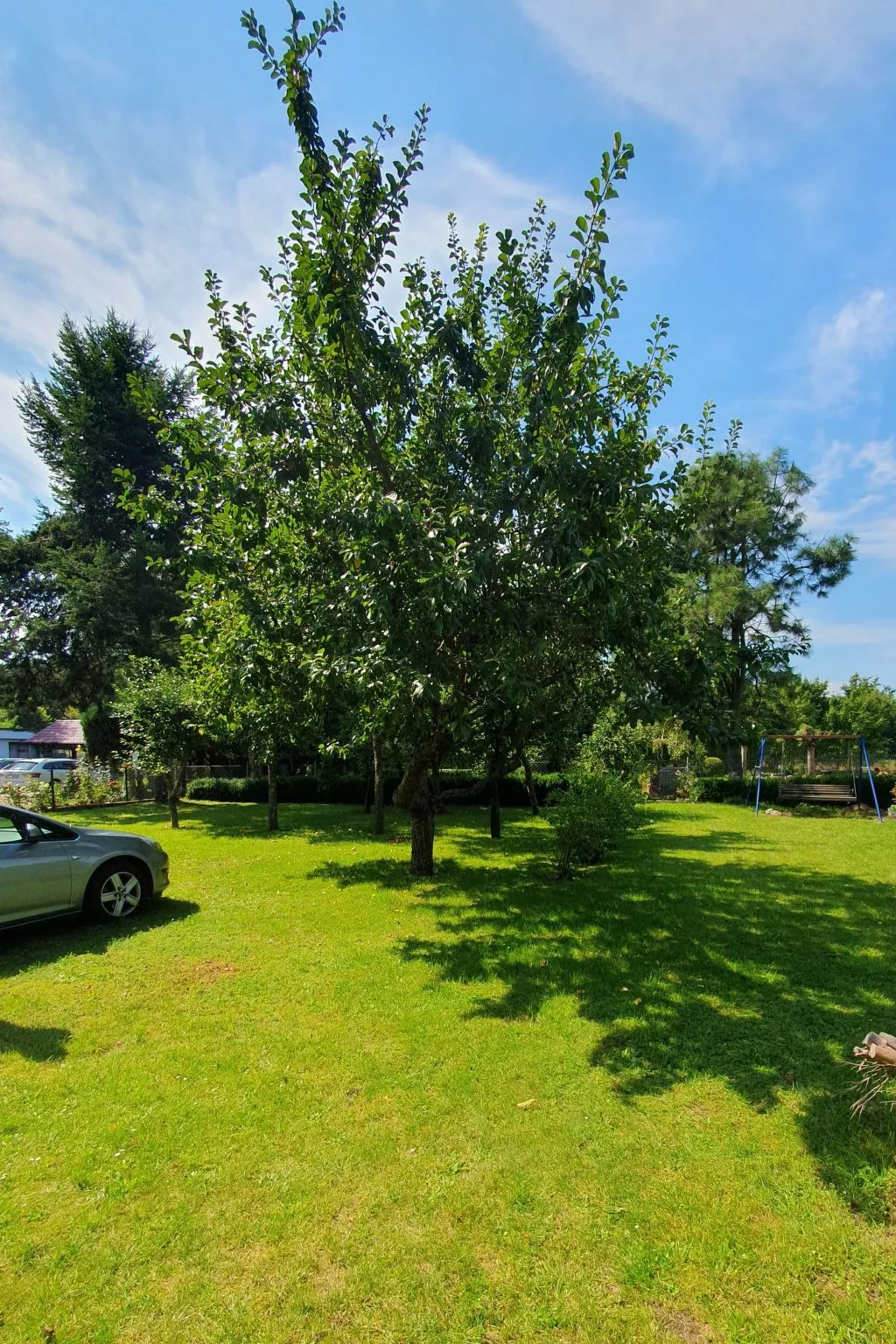 Haus "Am Nussbaum "-Outside