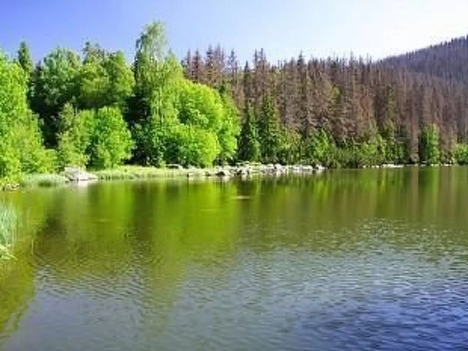 Pfenniggeiger- Hütte-Dehors