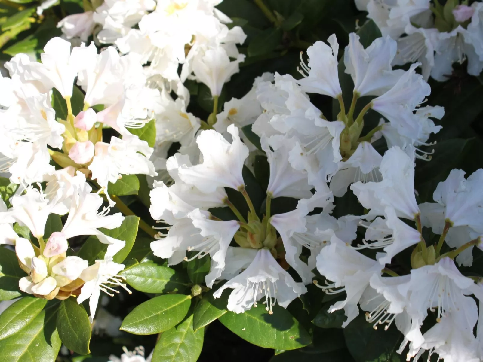 "Galerie"-Image-tags.info