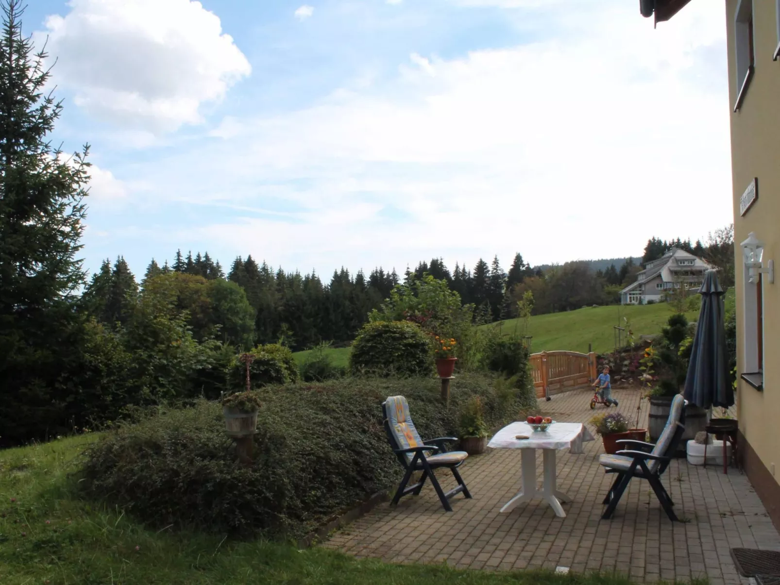 Carola-Image-tags.info