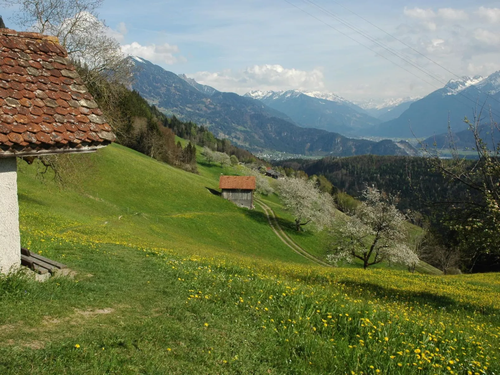 Dünser in Dünserberg-Outside