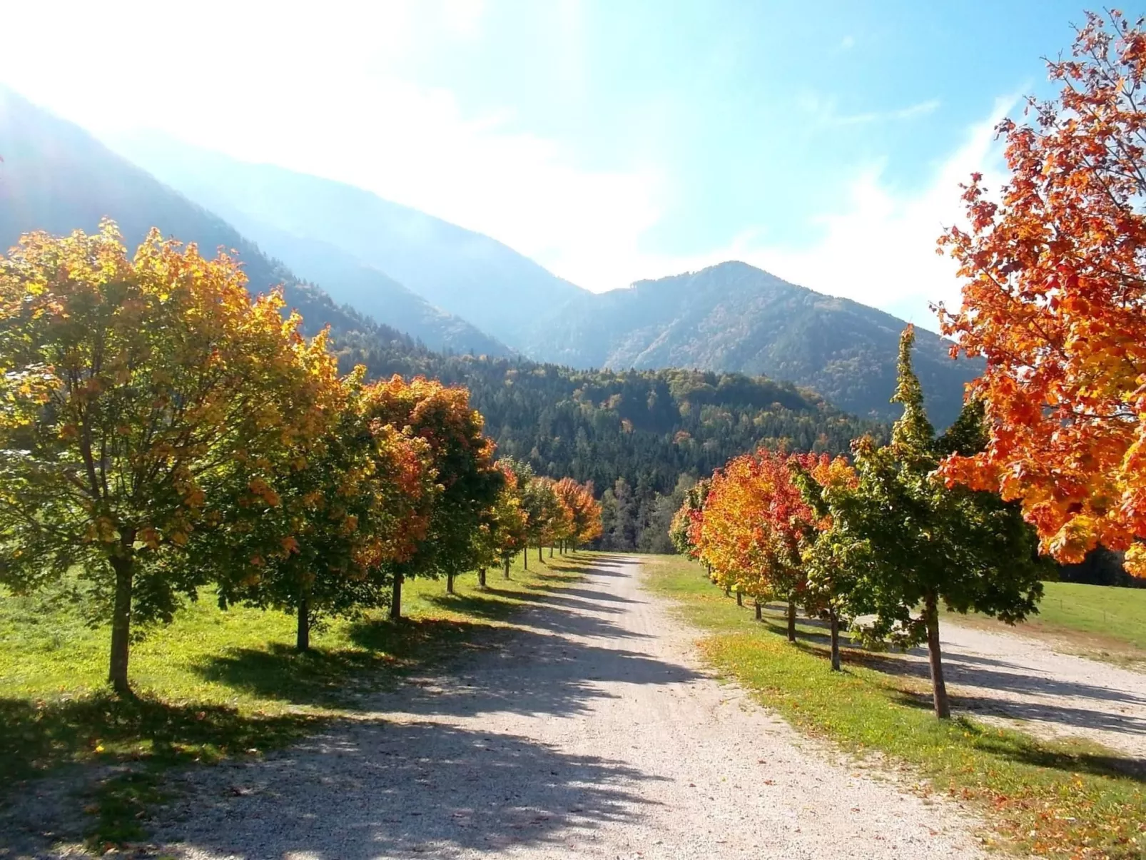 Landleben in Feistritz Ob Bleiburg-Outside