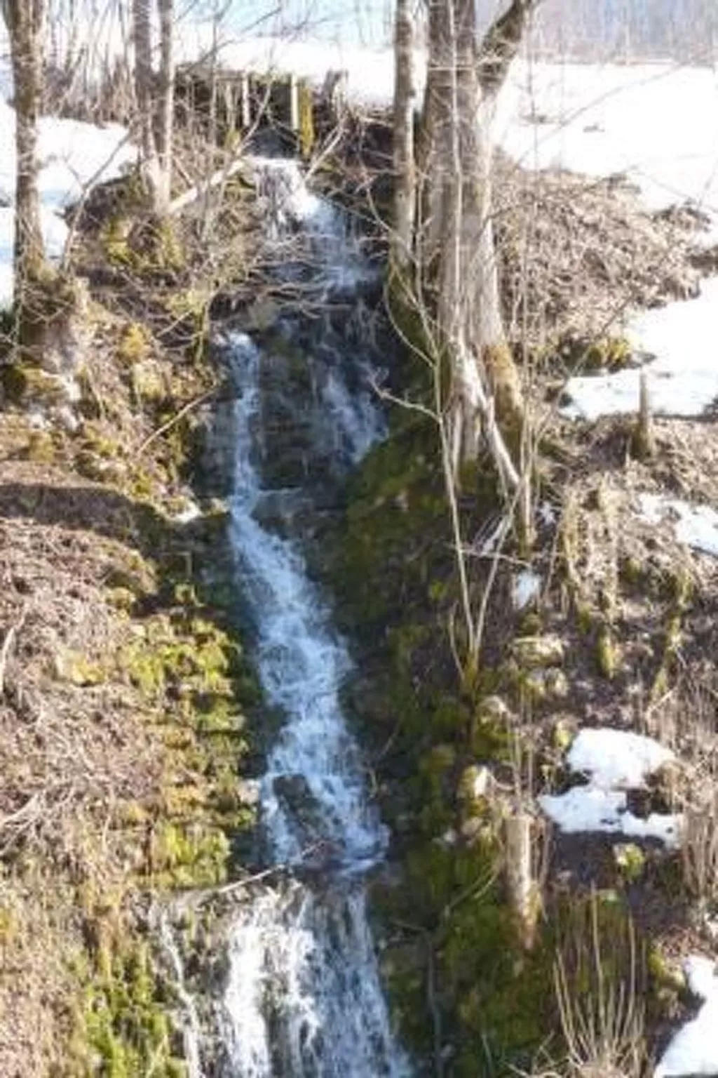 Exklusives Apartment in Panoramalage,  Sauna-Draußen