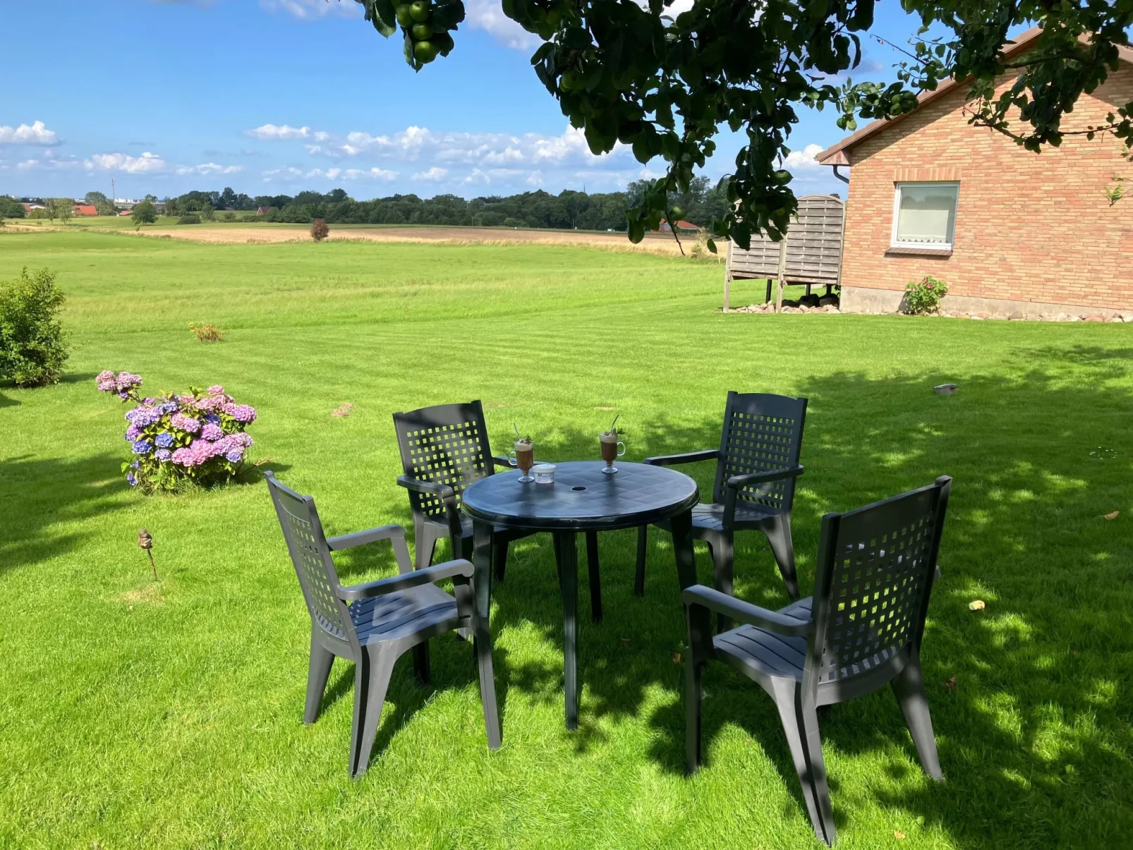 Appartement im Ostseebad Schönhagen-Dehors