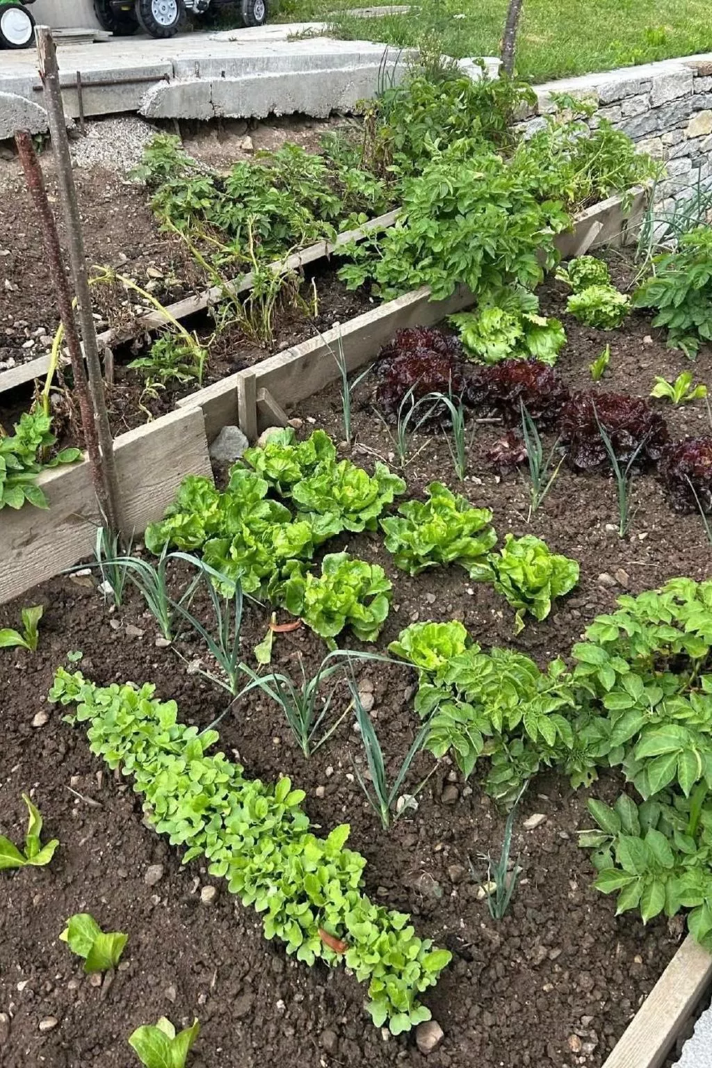 Einzimmerwohnung mit Bergblick-Image-tags.info