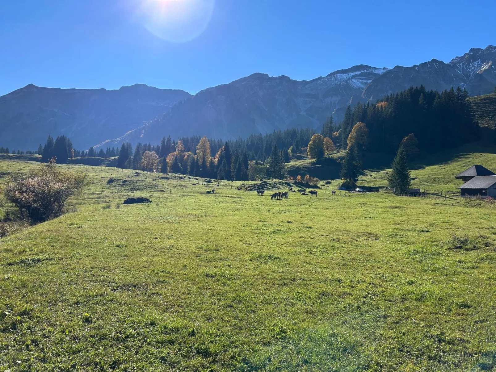 Wohnung Hirschi-Outside