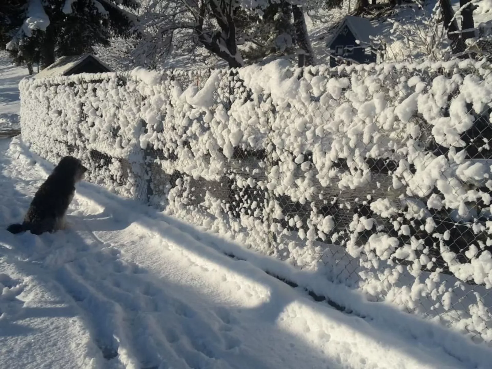 Staudenhof Viamala-Outside