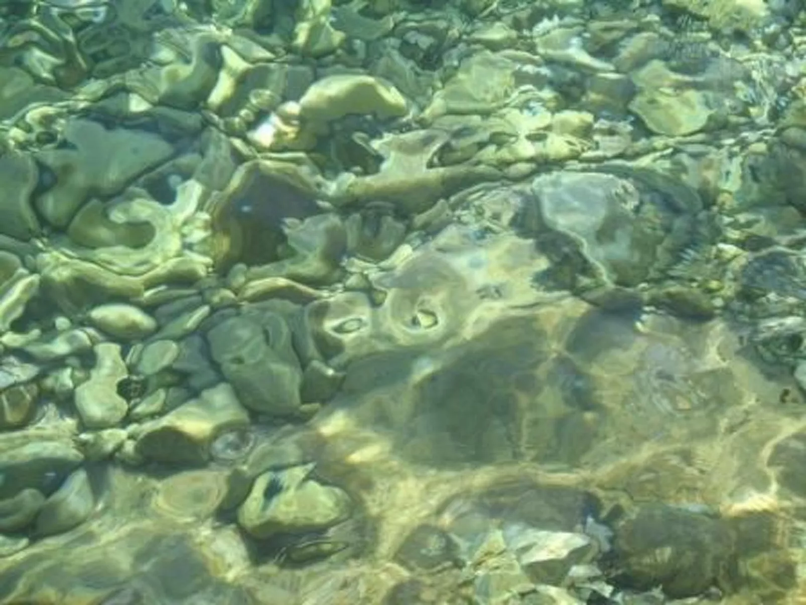 Wohnung in Zavala mit schönem Garten-Outside