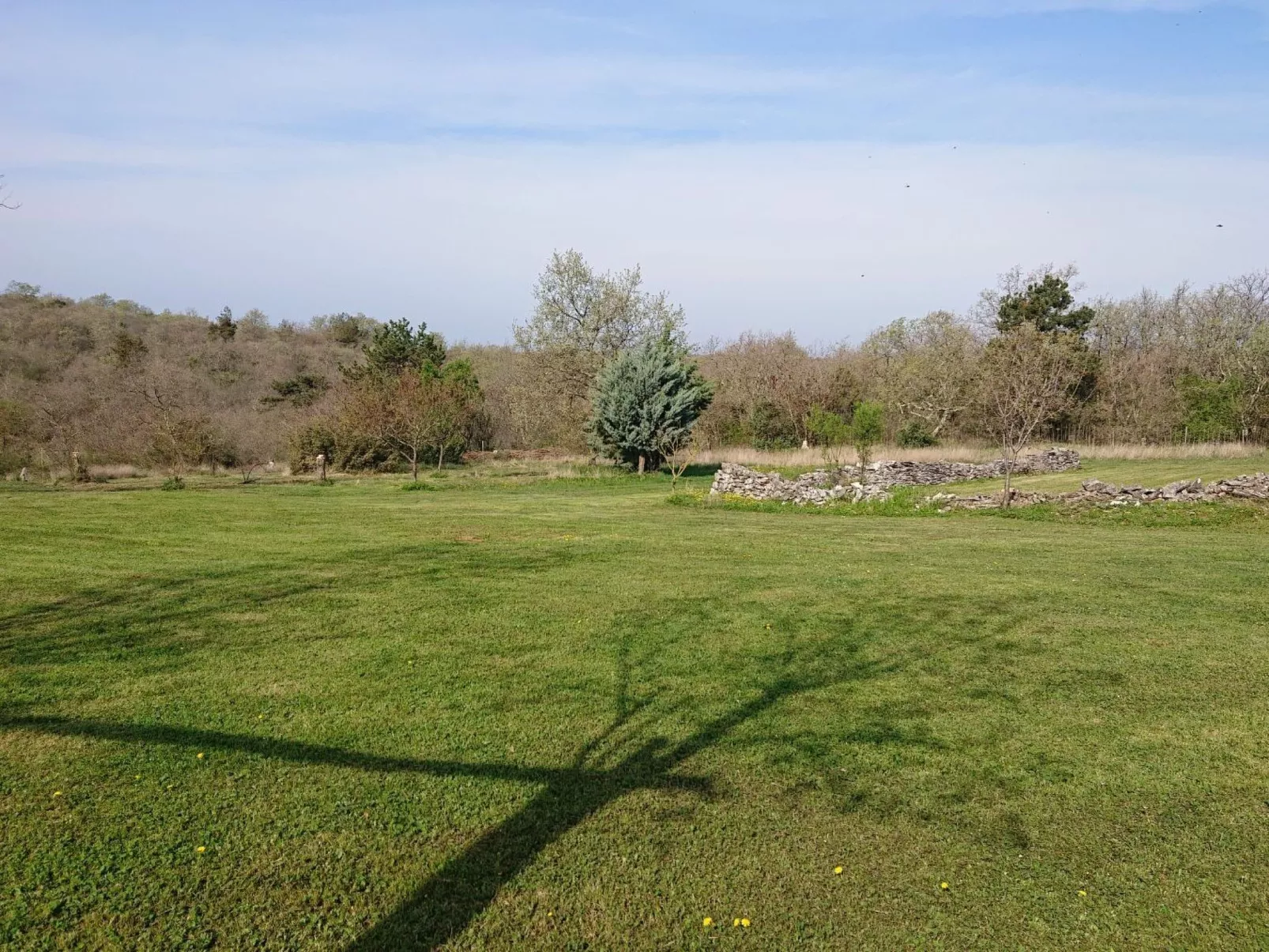 Das Haus im Wald-Draußen