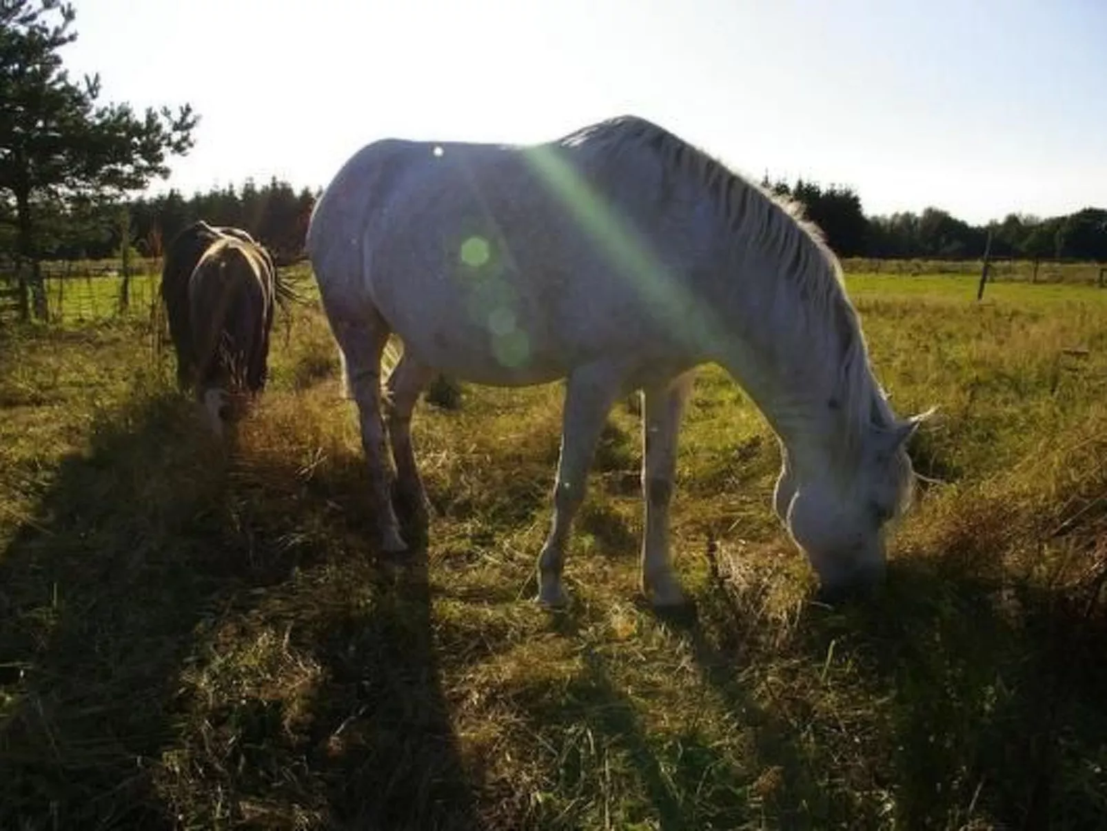 Blockhaus in Gajówka mit Kaminofen-Image-tags.info