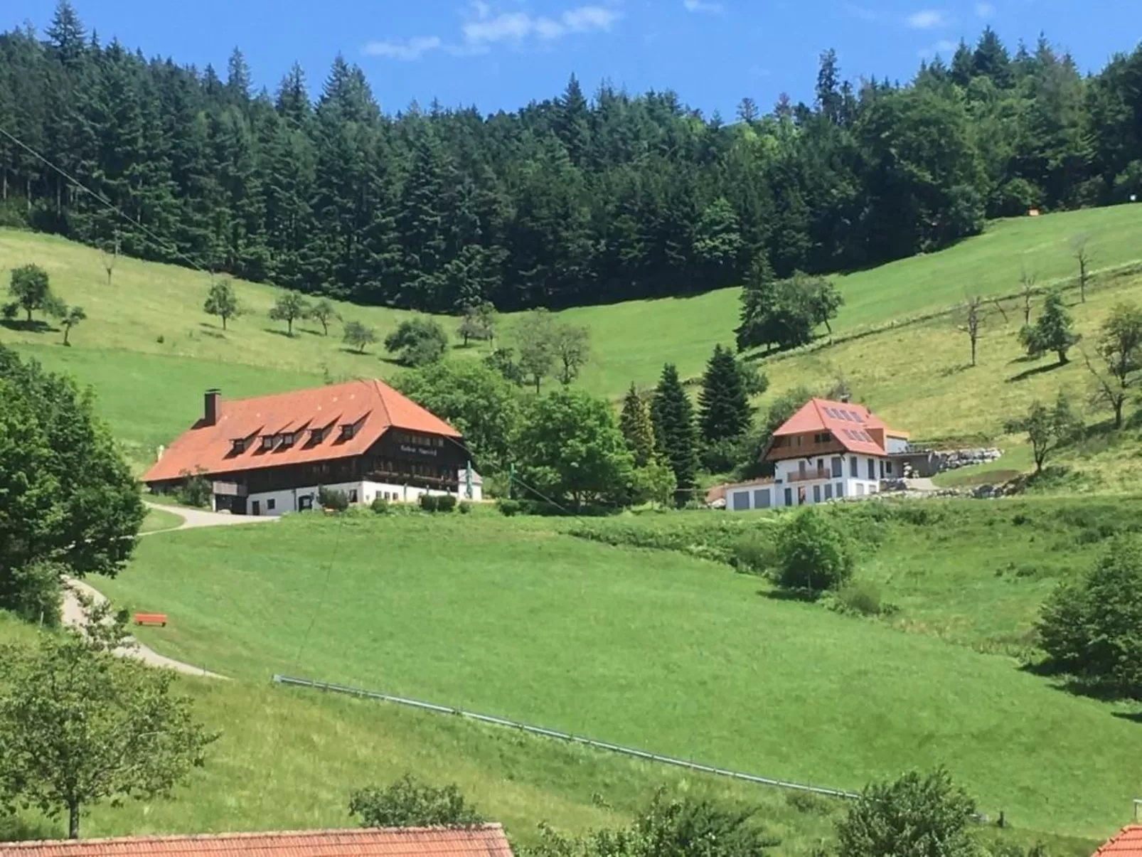FeWo mit Whirlpool und Fass-Sauna im Schwarzwald-Outside