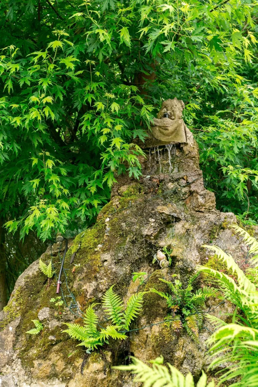 Tolles Appartement in Walkenried-Image-tags.info