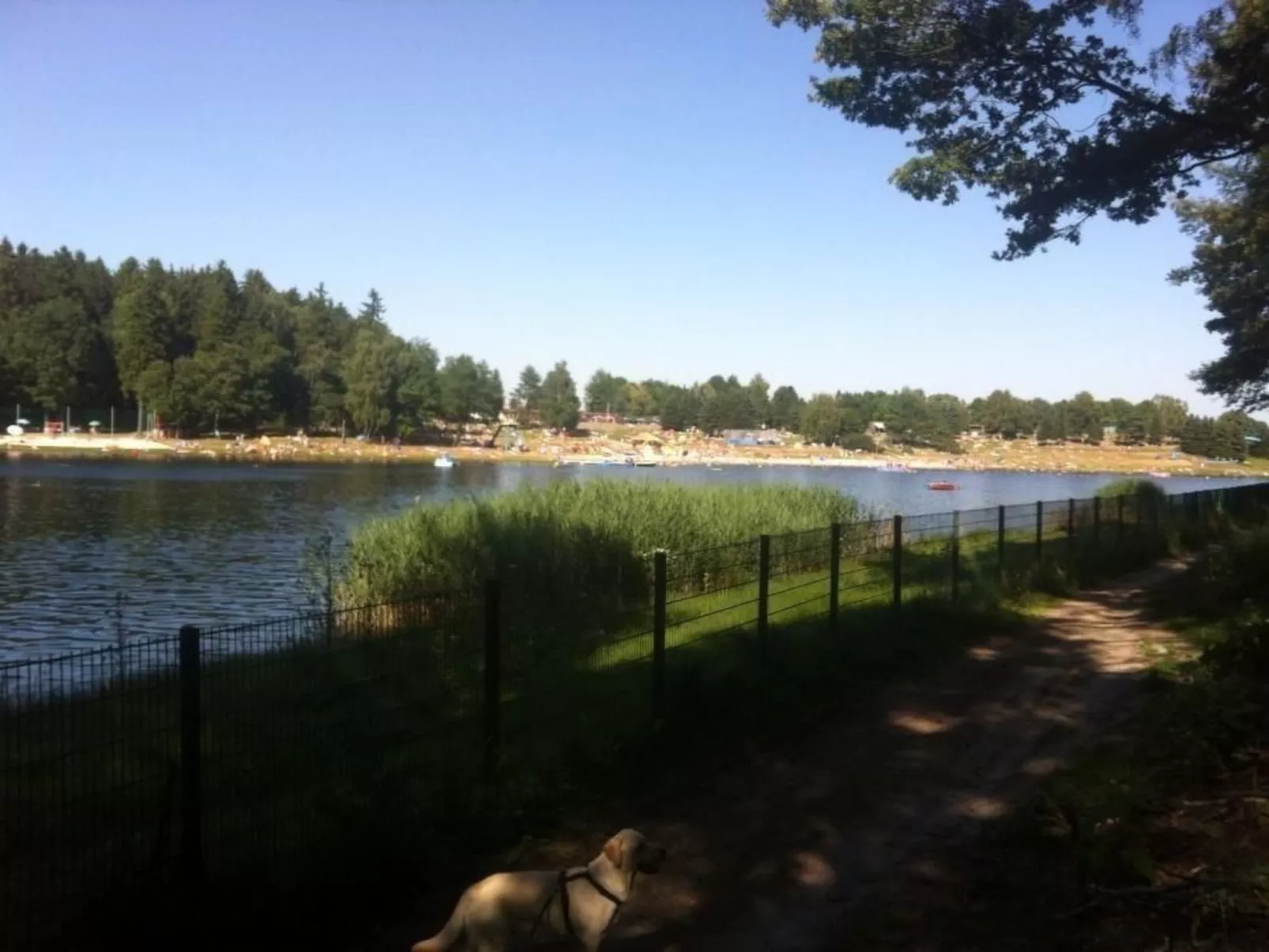 Waldhaus-Image-tags.info