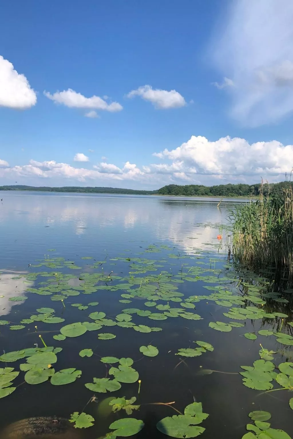 Mit Sauna und Kaminofen-Outside
