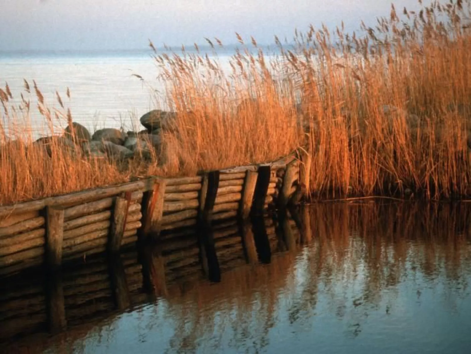 Fewo "Bootsscheune"-Image-tags.info