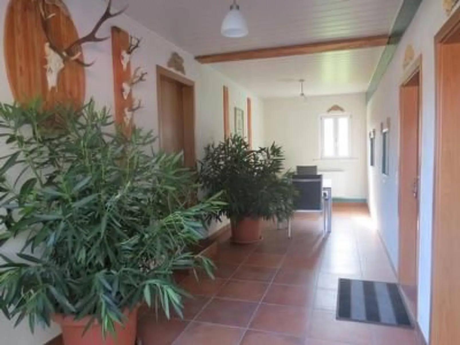 Tauchert-Image-tags.info