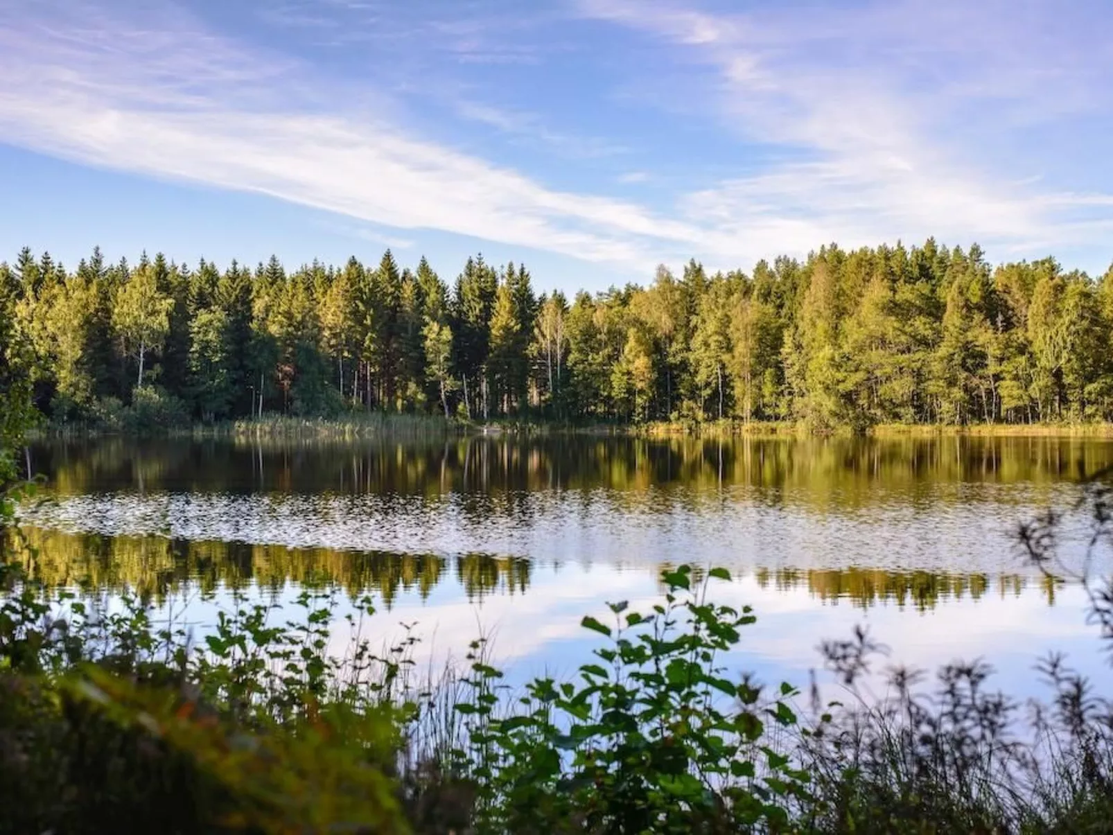Typisch schwedisches Ferienhaus mit Garten-Dehors