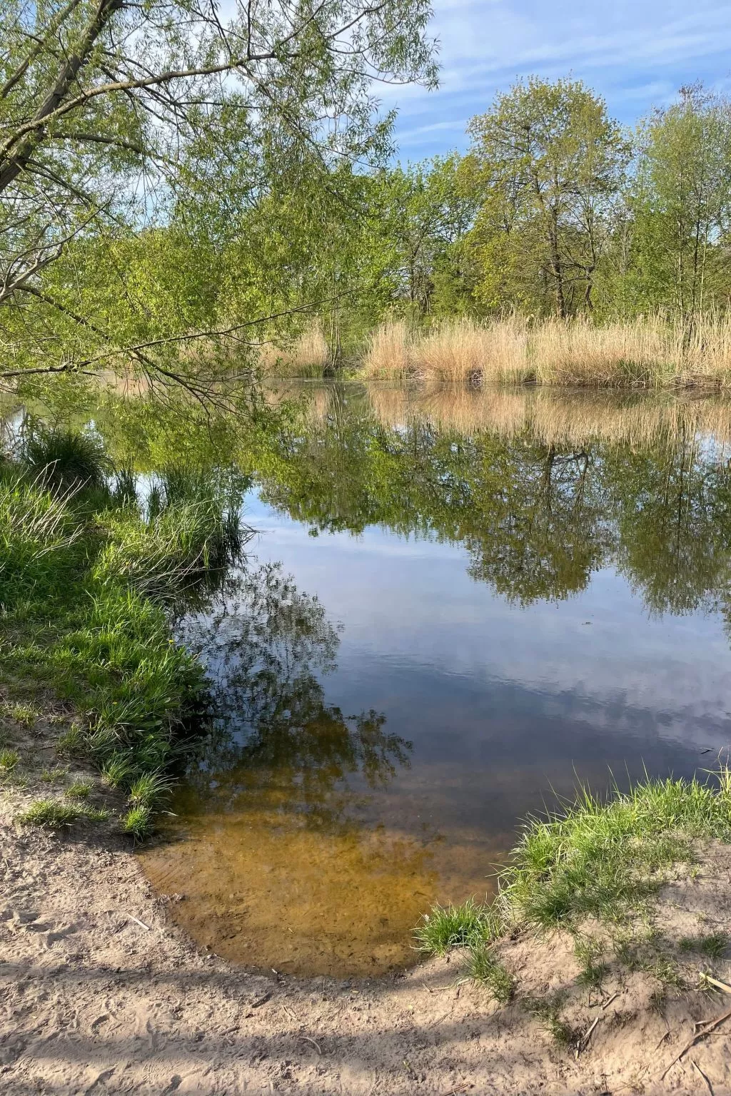 Datscha im Grünen-Draußen