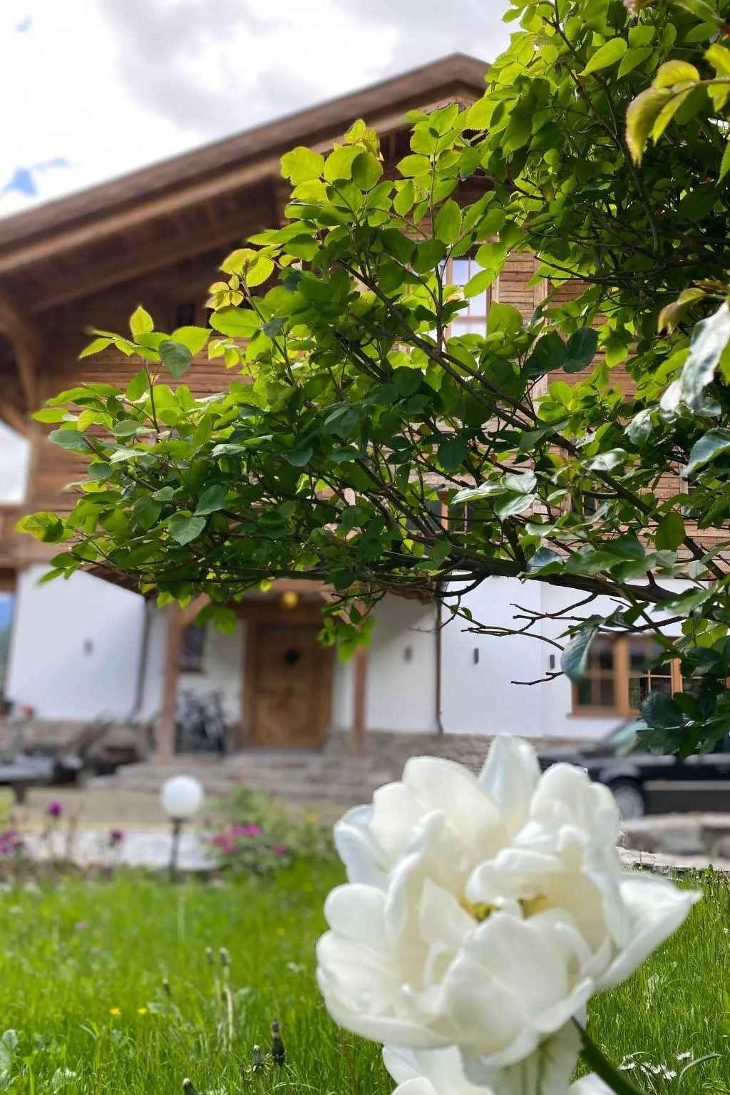 Studio Wasserfall-Outside