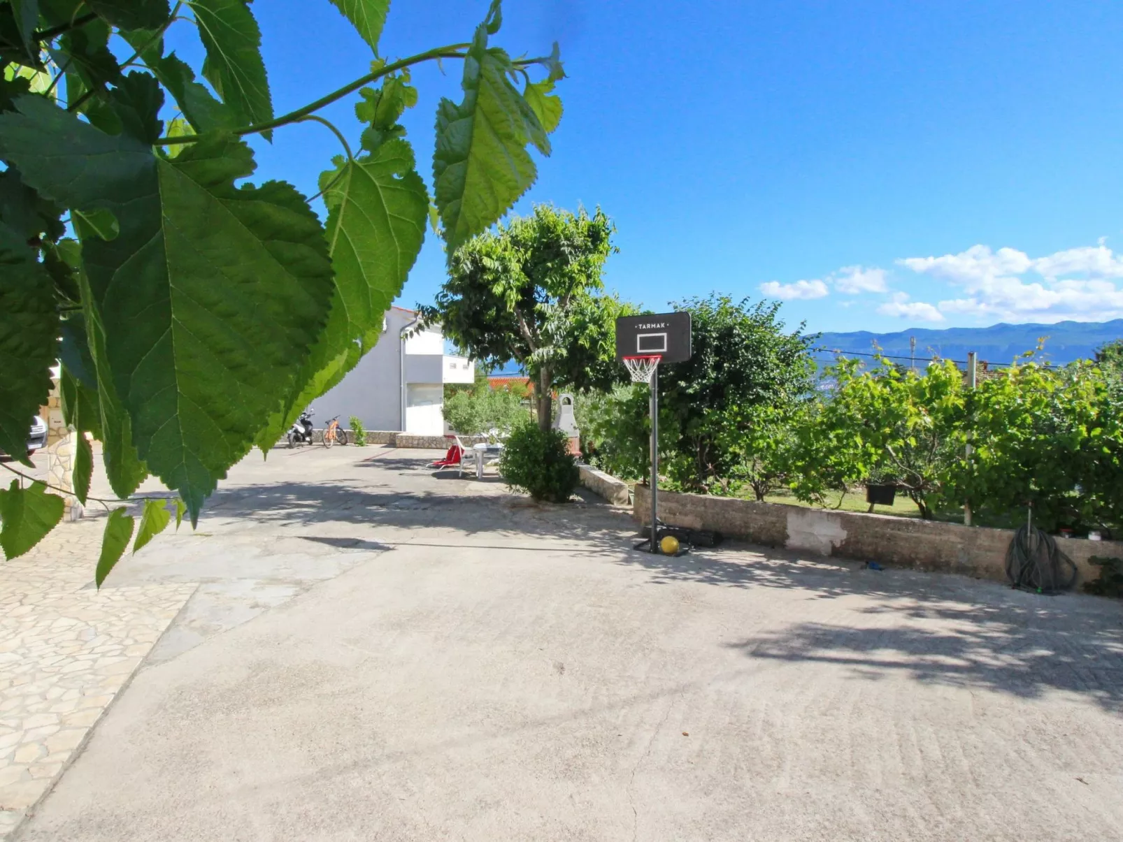 Apartment TOP 2-Image-tags.info