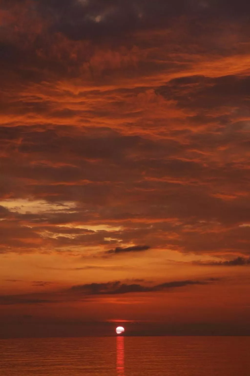 Villa Giacaranda-Outside