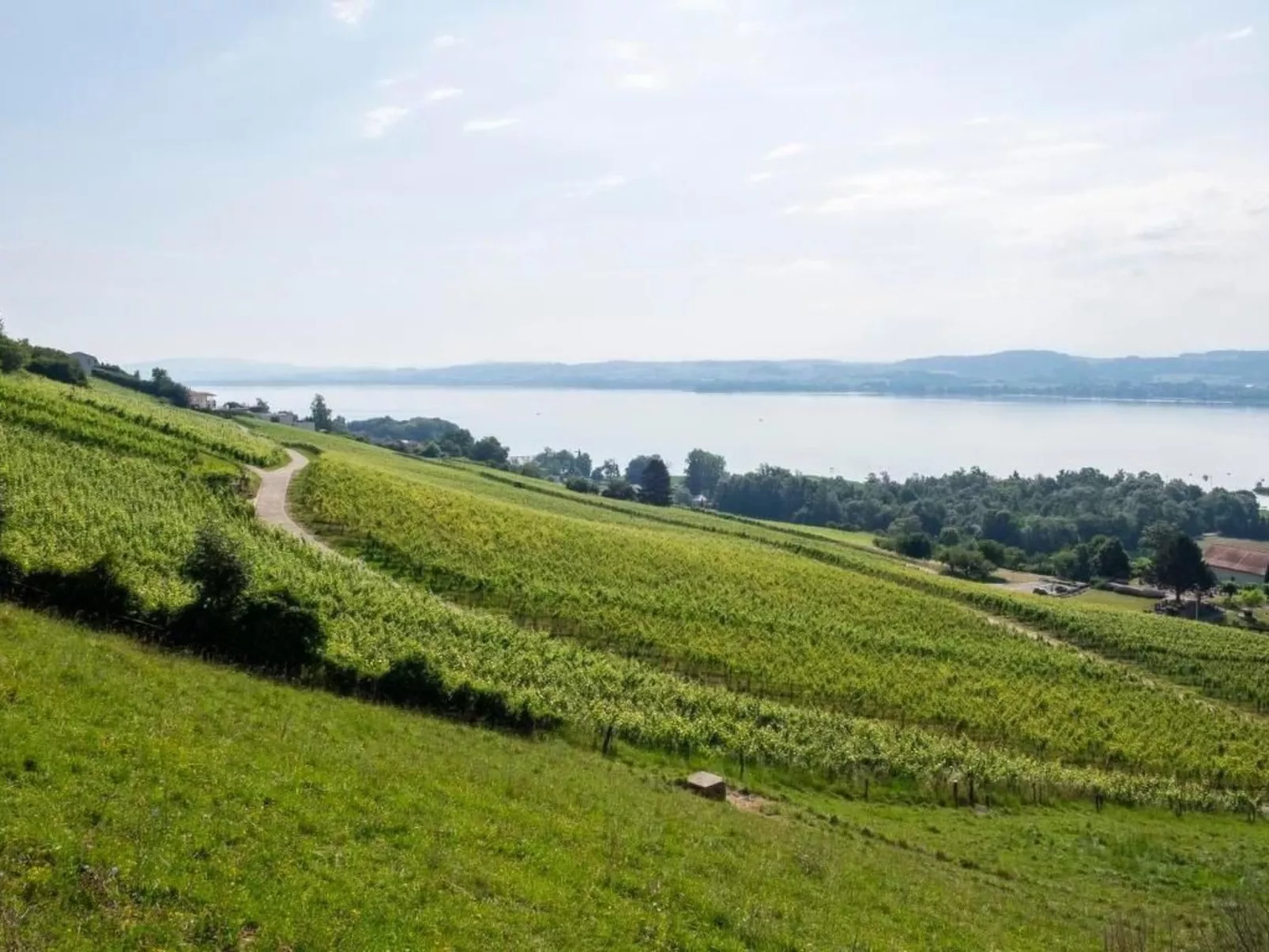 Gästehaus mit See- und Weitblick - Draußen