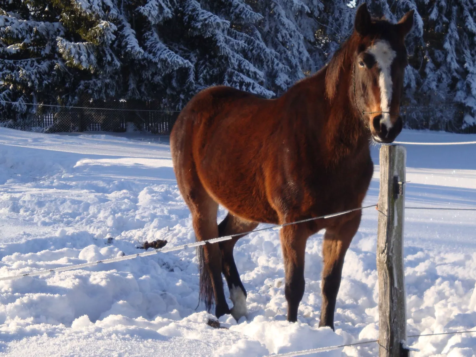 Vogtlandresidenz - Draußen