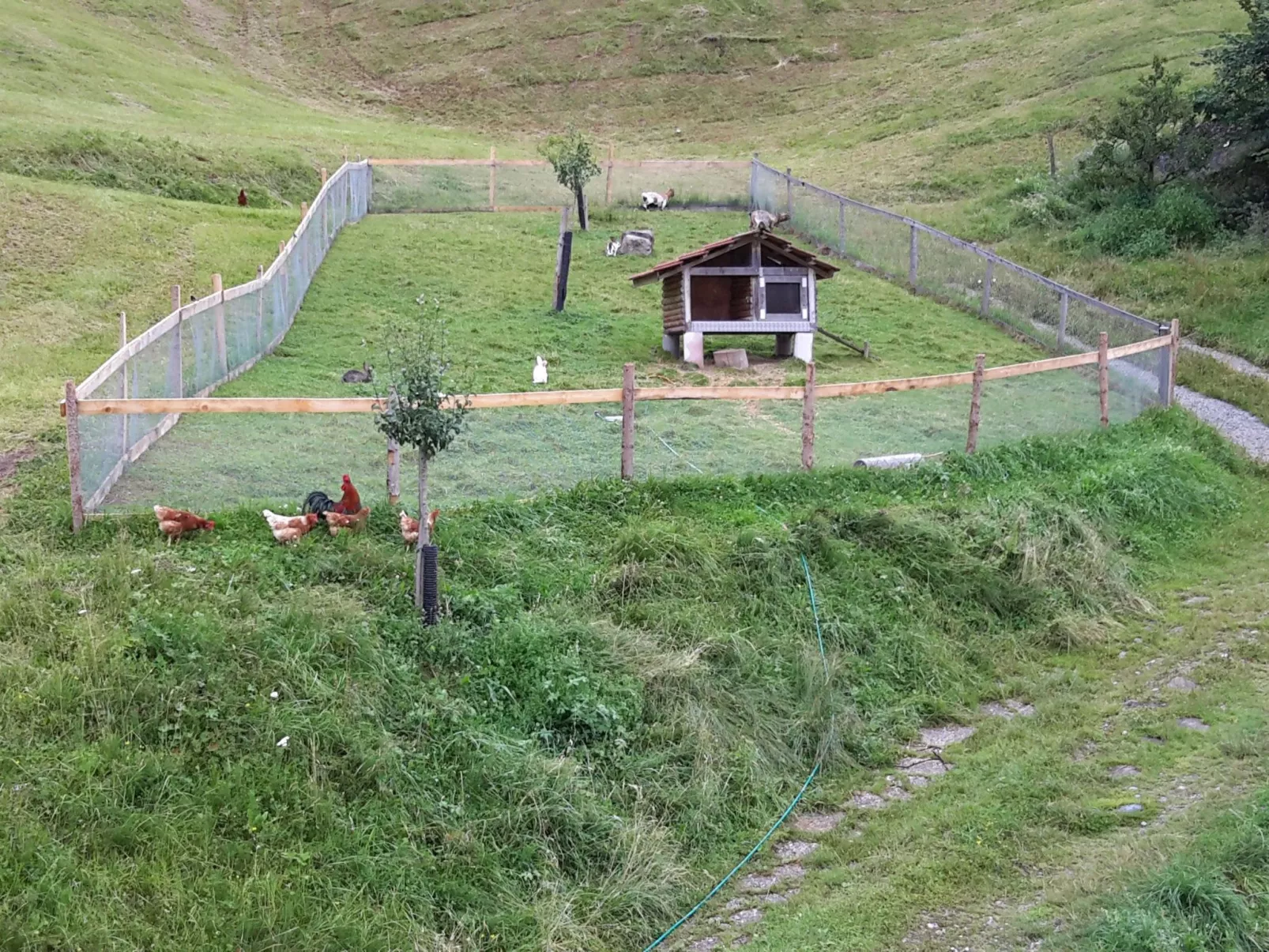 Rothornblick-Draußen