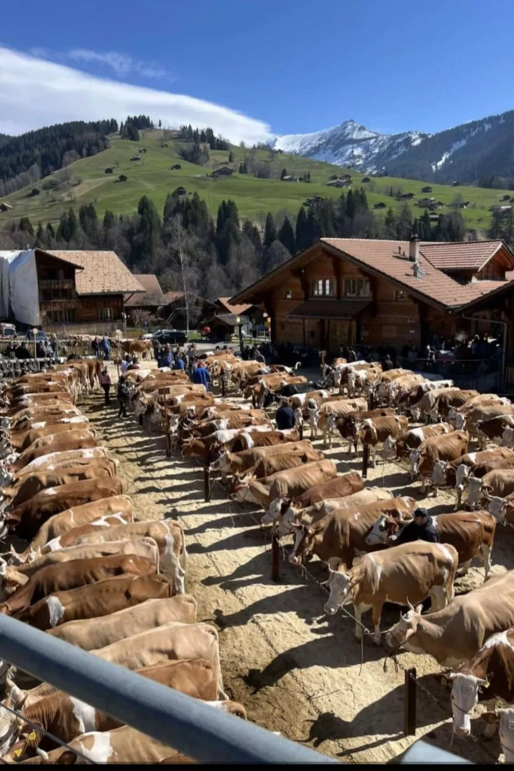 Fewo Wychelboden-Outside