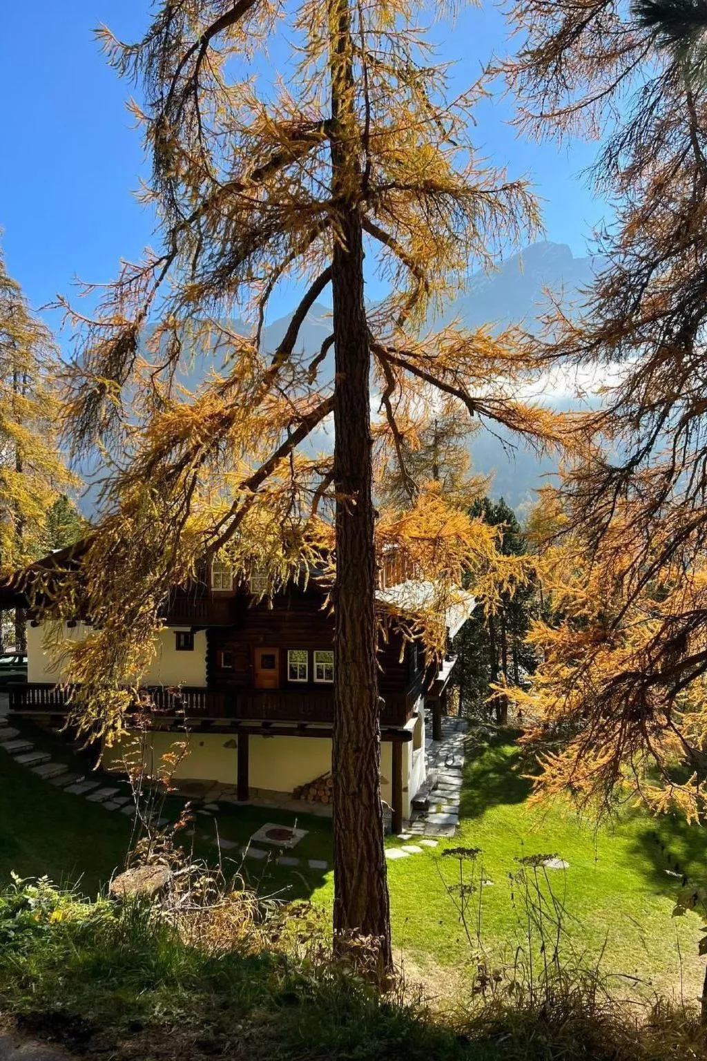 Bindschedler-Image-tags.info