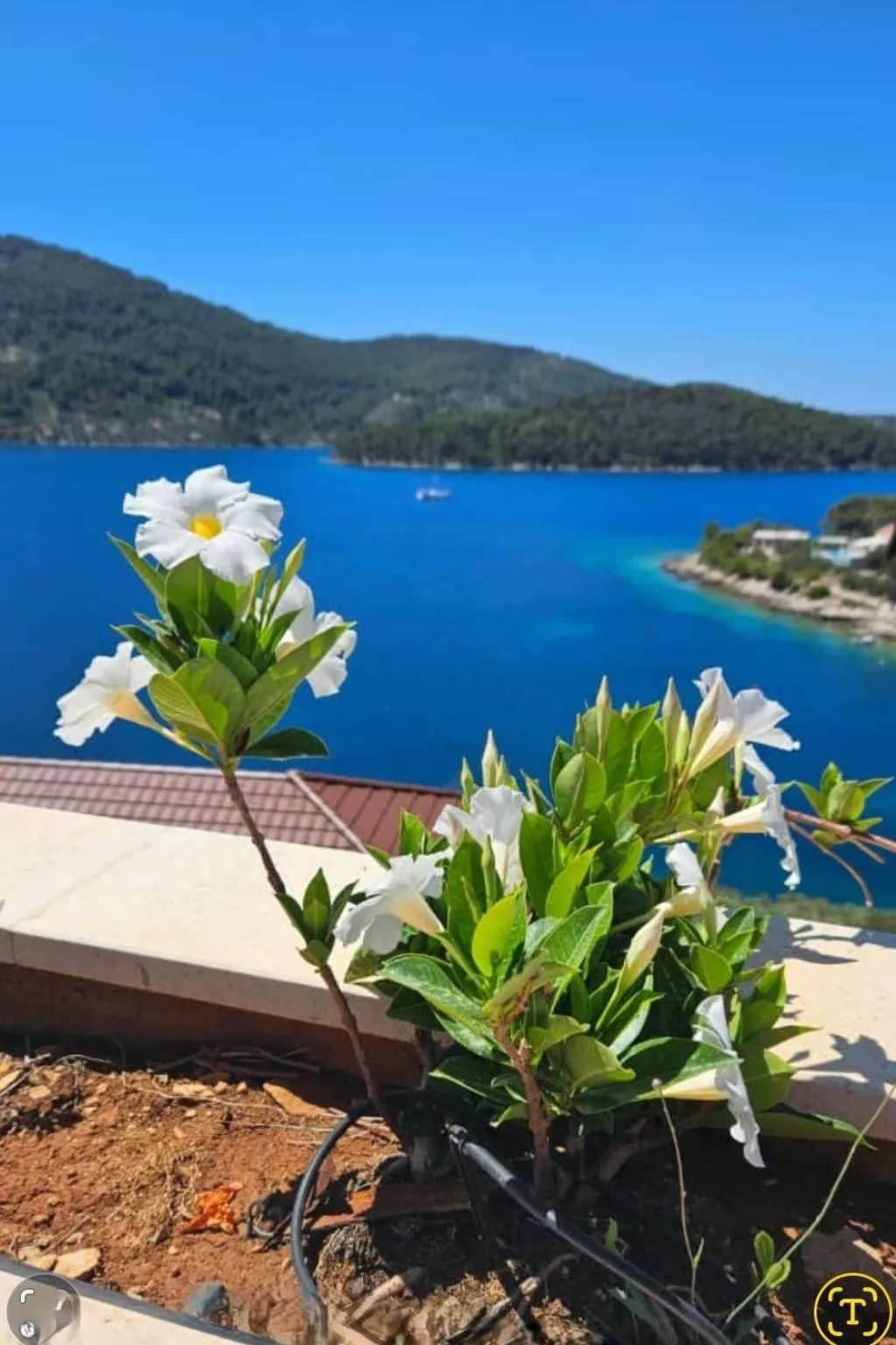 "vila Belveder" mit Infinity-Pool-Outside