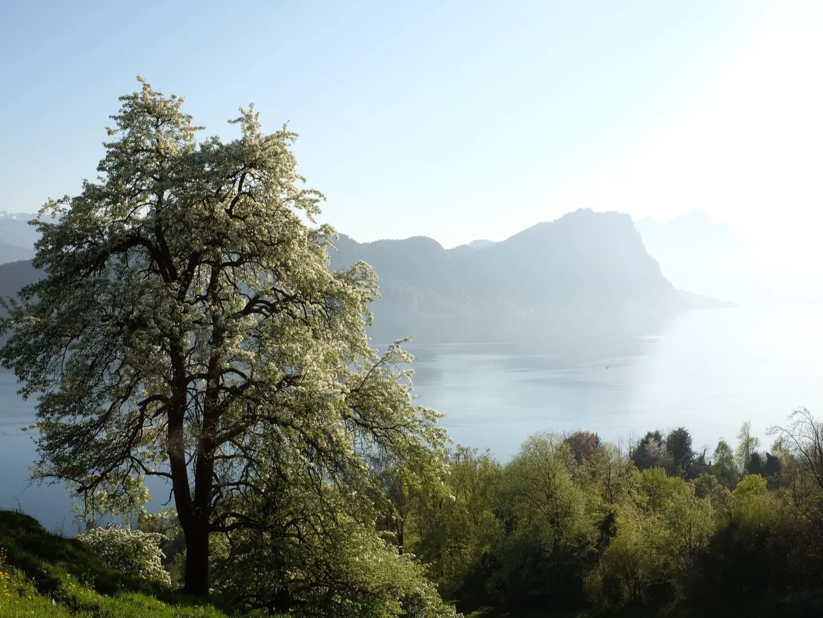 Chalet Bärgblick-Image-tags.info