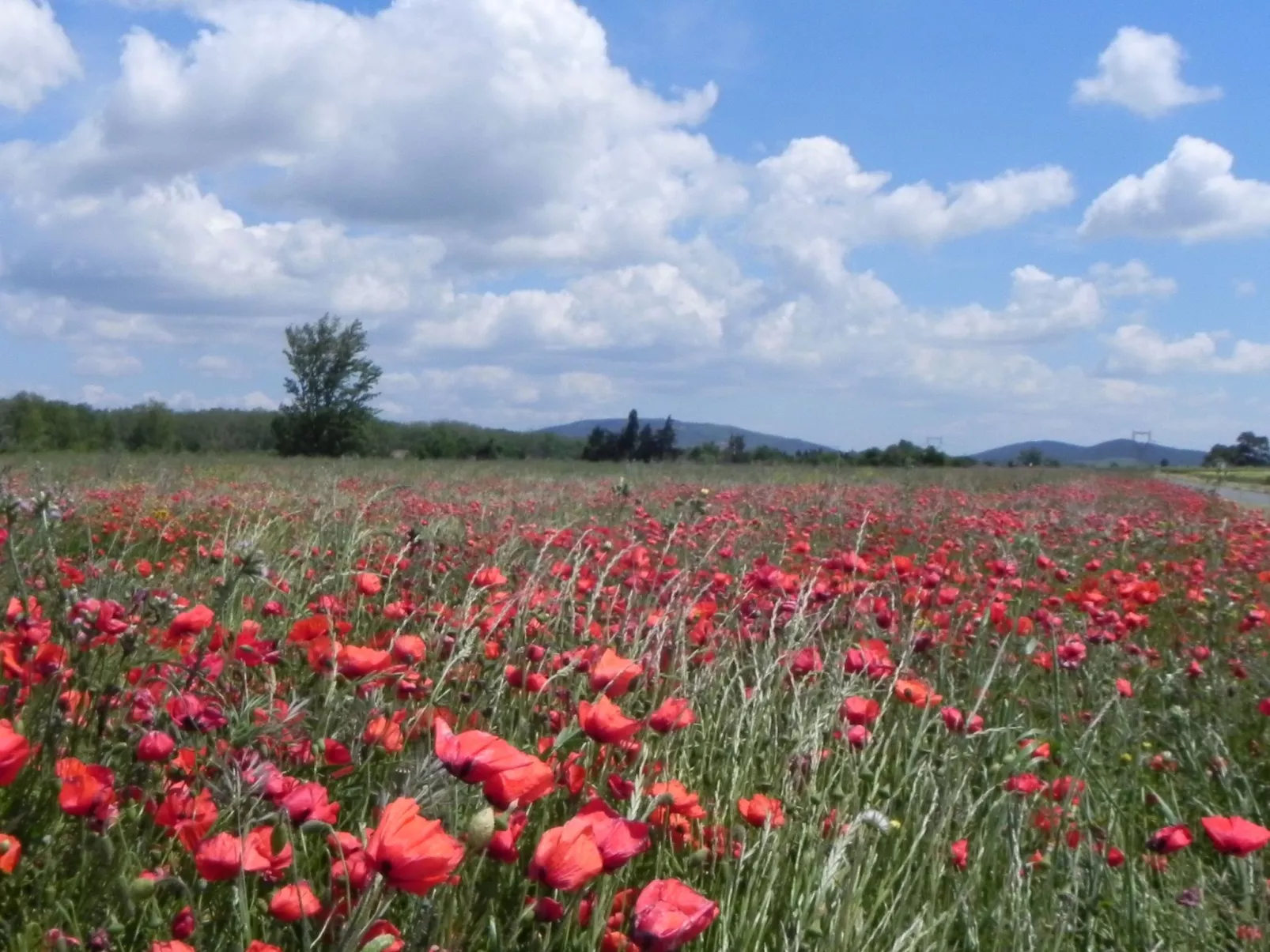 Residence du Grazel-Dehors