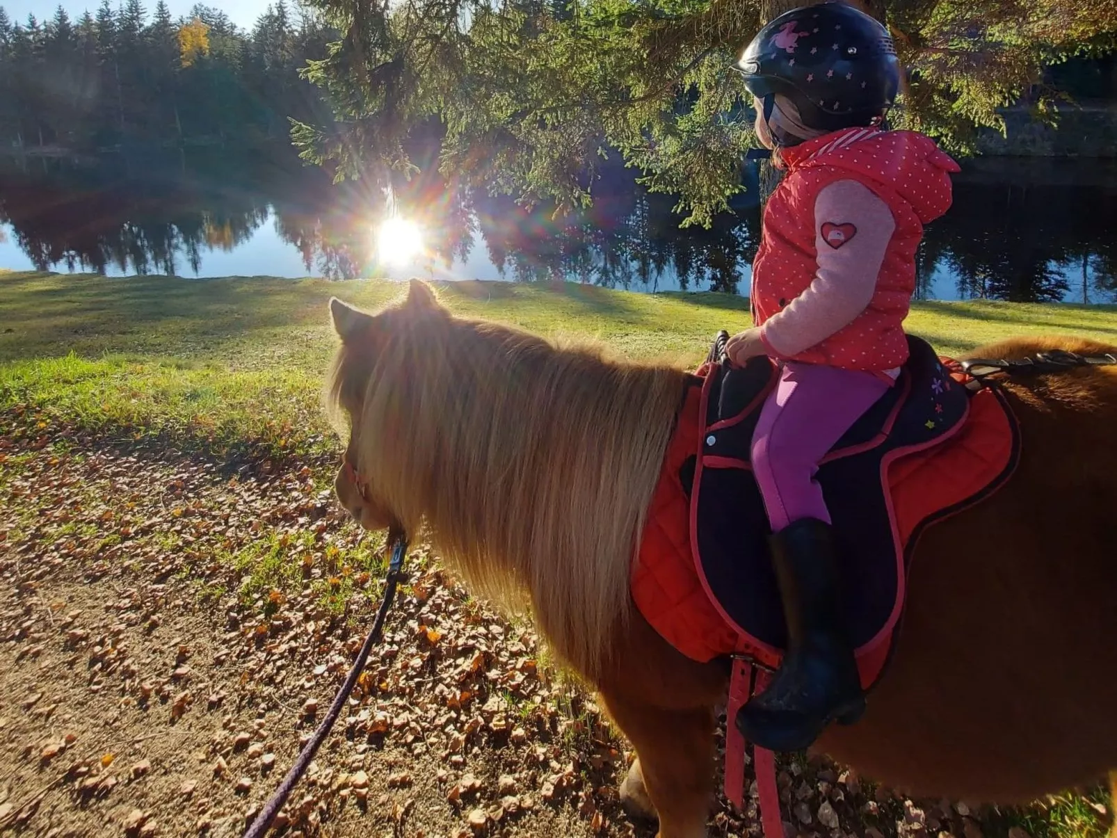 Für 4 Personen im Bayerischen Wald-Image-tags.info