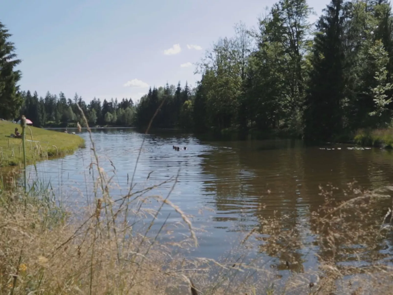 Für 4 Personen im Bayerischen Wald-Draußen