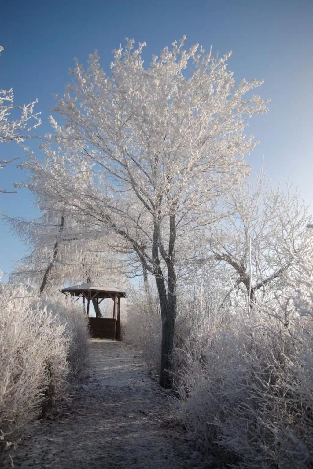 Gästehaus Siebert-Image-tags.info