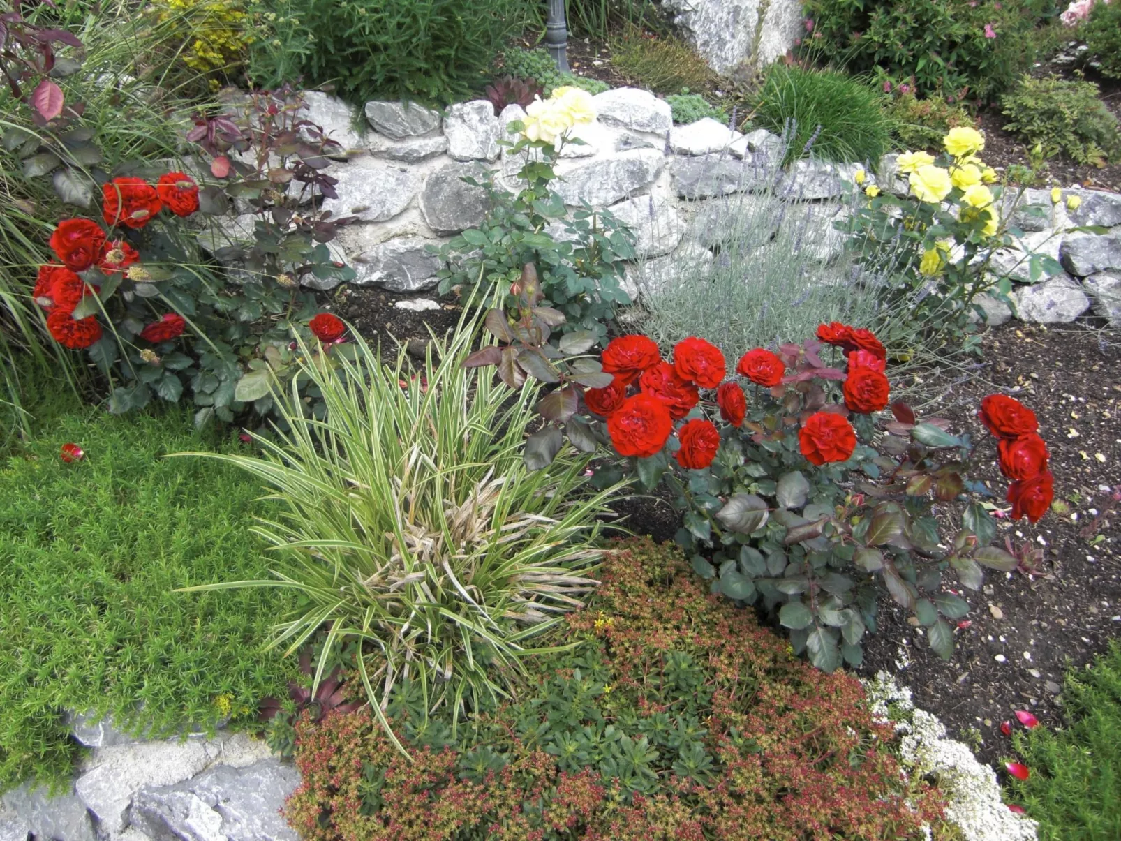 Am Rosengarten-Dehors