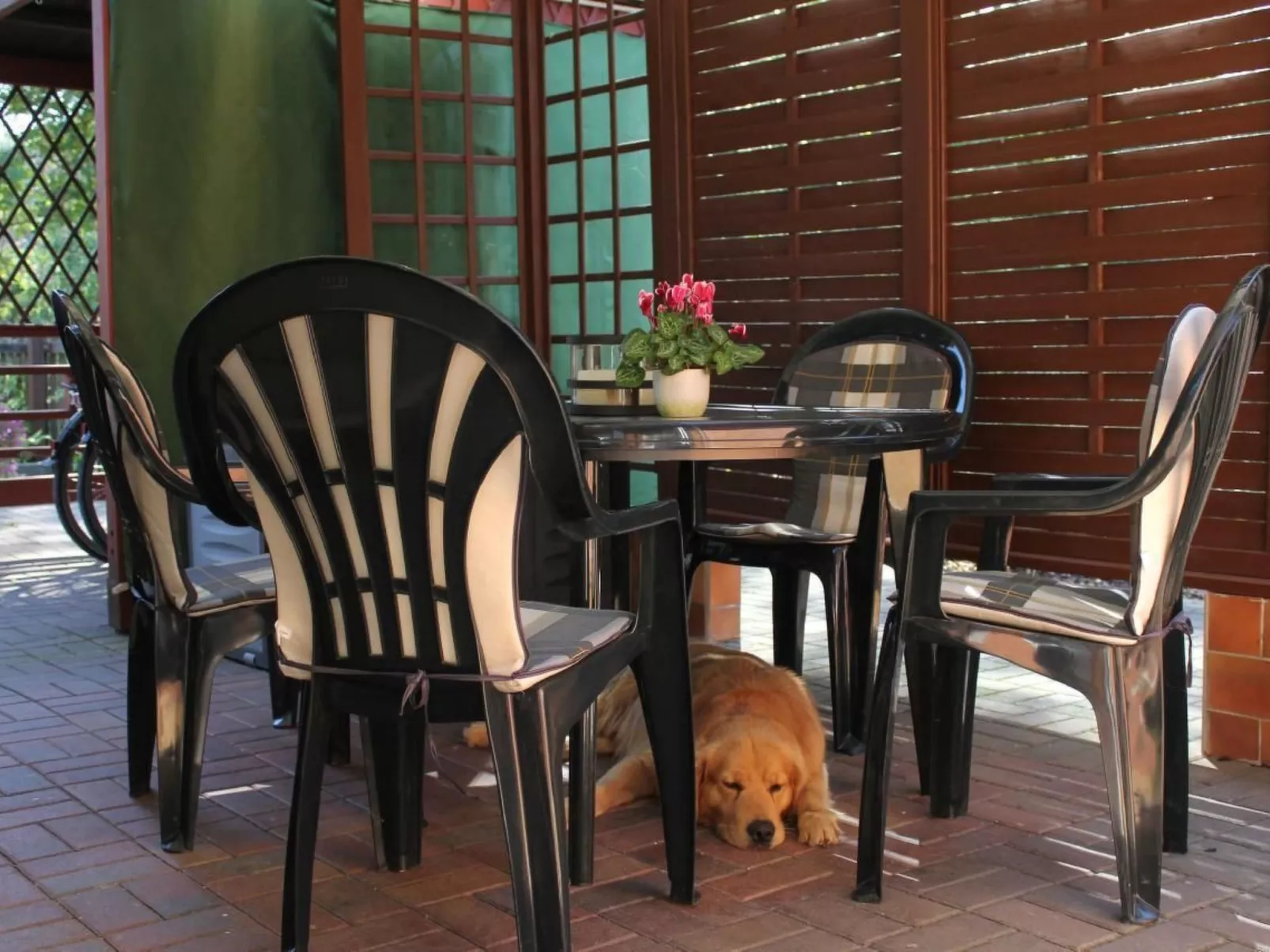 In Alt-Schadow mit Grill und Terrasse-Outside