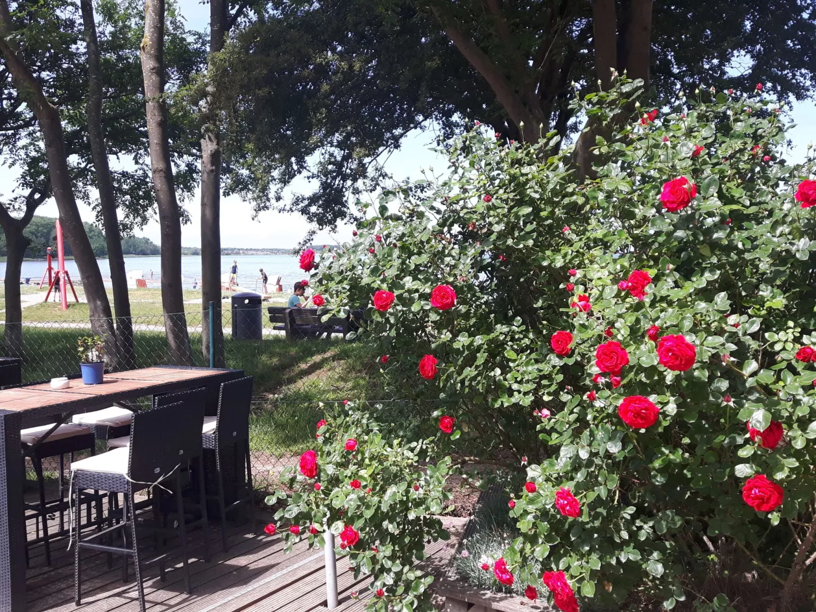 Gemütliches Schwedenhäuschen in guter Lage-Dehors